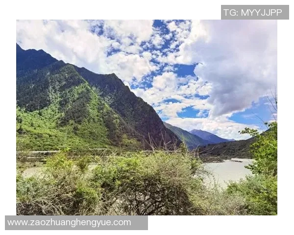 足球明星携手实现足球迷梦想点燃激情与希望的美好时刻