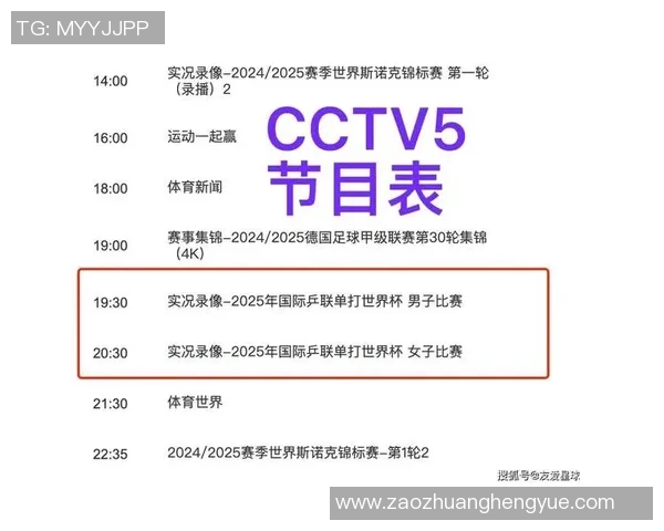 南京乒乓球队在世界杯中的团队协作表现及其对比赛结果的影响分析