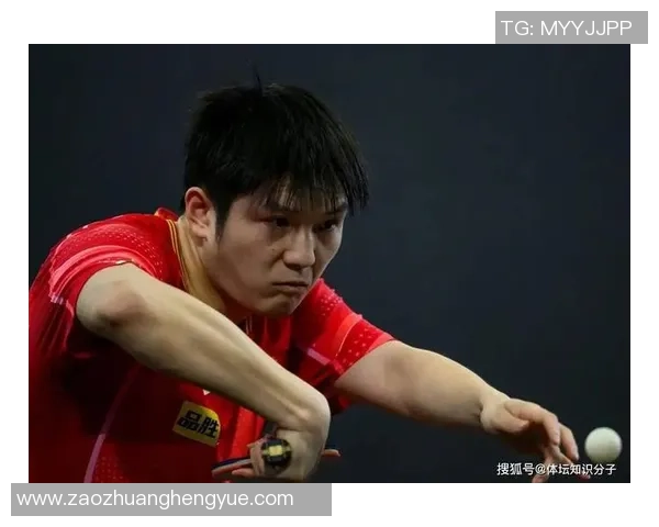 杭州乒乓球队技术实力飙升再创佳绩引发广泛关注与热议