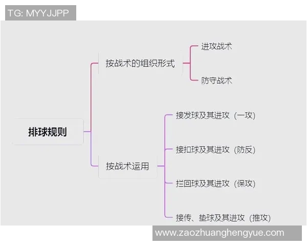 武汉排球队中路突破分析及其战术得失探讨