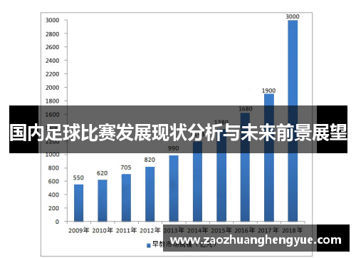 国内足球比赛发展现状分析与未来前景展望