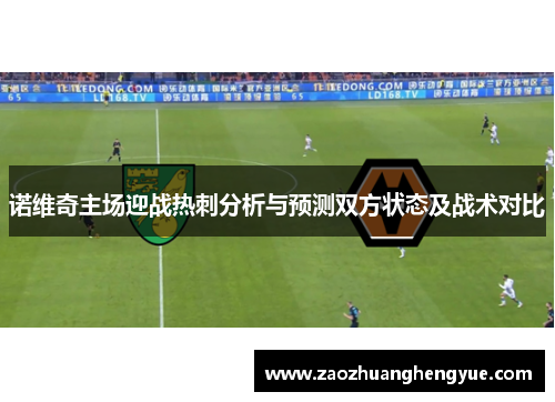诺维奇主场迎战热刺分析与预测双方状态及战术对比